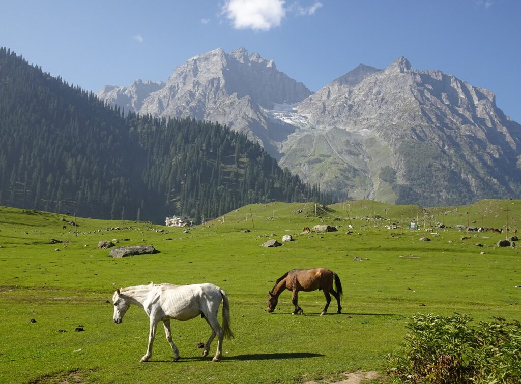 sonamarg, glacier, thajiwas-7635737.jpg